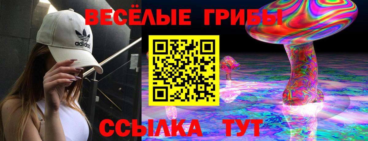 Нефтекумск  Галлюциногенные грибы ЛСД  Вход с VPN 